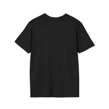 Load image into Gallery viewer, Conspiracy Theorist - Unisex Softstyle T-Shirt